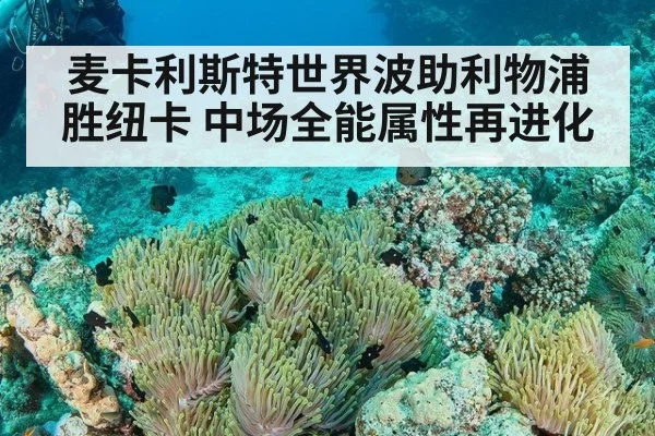 麦卡利斯特世界波助利物浦胜纽卡 中场全能属性再进化